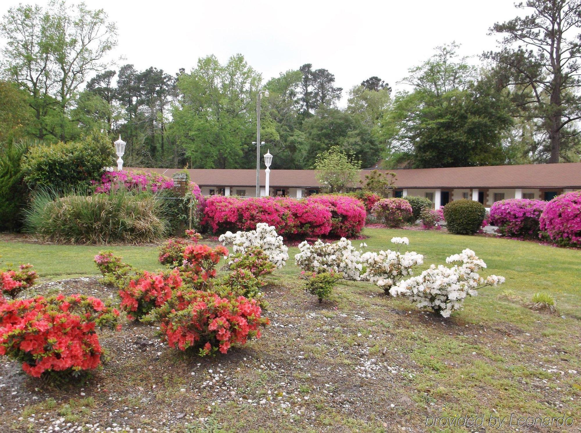 Azalea Inn & Suites Wilmington Exterior foto